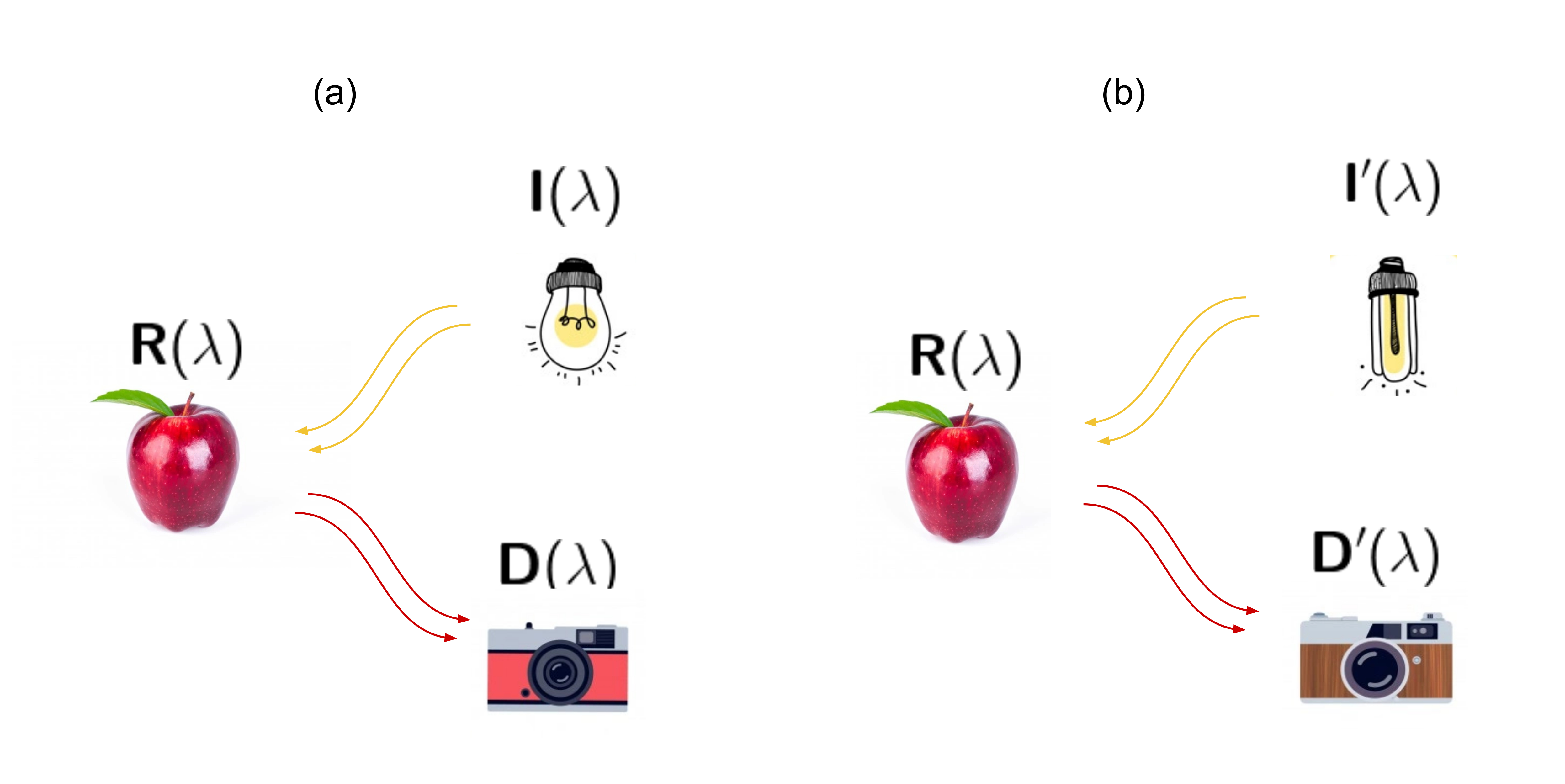 The imaging consistency problem: (a) a certain light source (\mathrm{I} (\uplambda)) illuminates a certain object with a certain reflectance (\mathrm{R} (\uplambda)), this scene is captured by a certain camera with its sensor response (\mathrm{D} (\uplambda)) and (b) the same object is now illuminated by another light source (\mathrm{I'} (\uplambda)) and captured by another camera (\mathrm{D'} (\uplambda)). 