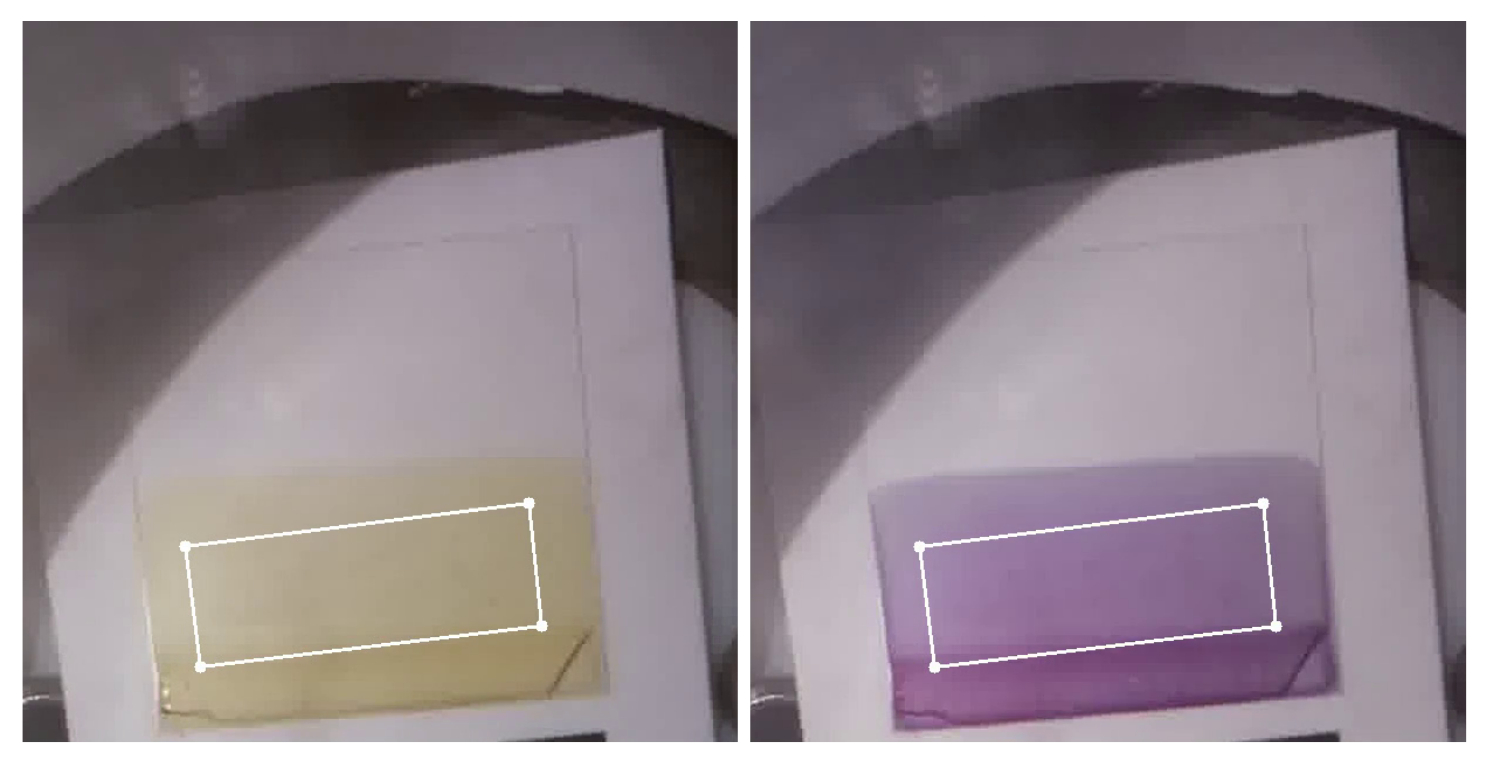 Left, an ammonia (NH_3) colorimetric indicator has been dip-coated into a glass substrate, which exhibits a yellow color when exposed to synthetic air. Right, the same sensor is exposed to 100 ppm of NH_3 and it turns into purple.